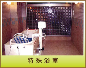 特殊浴室