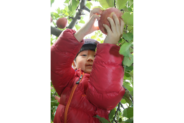 ギャラリー画像